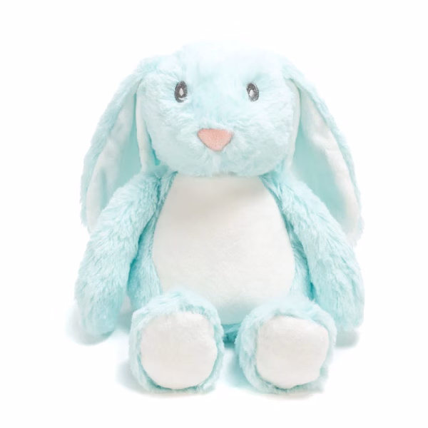 1st day of school Printed teddies